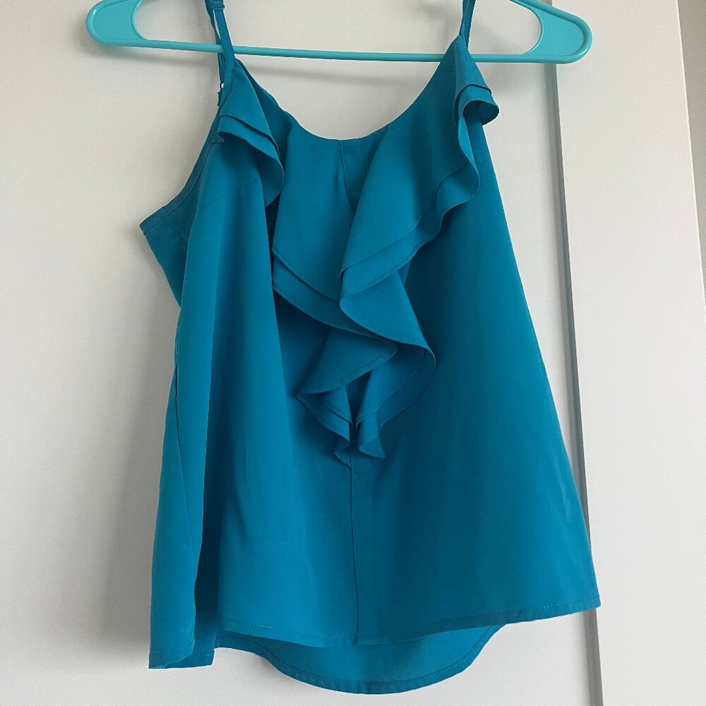 Ruffle Teal blouse